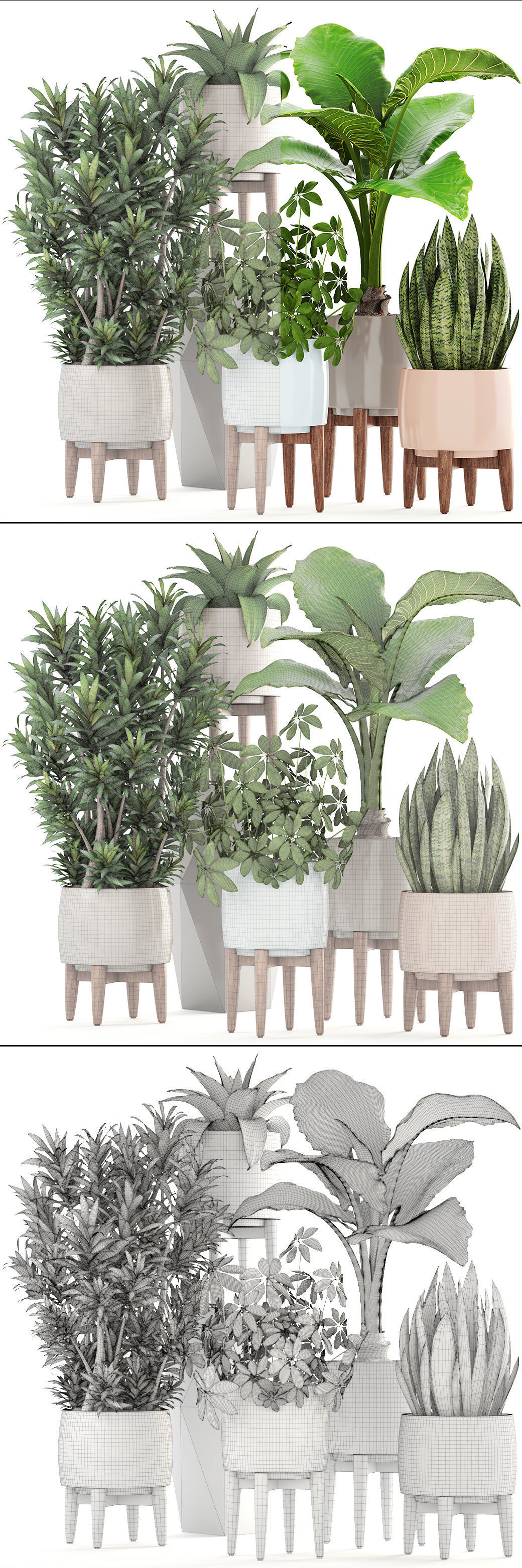 Collection plants potted on wooden legs 3D model_2
