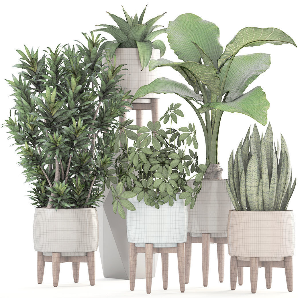 Collection plants potted on wooden legs 3D model_7
