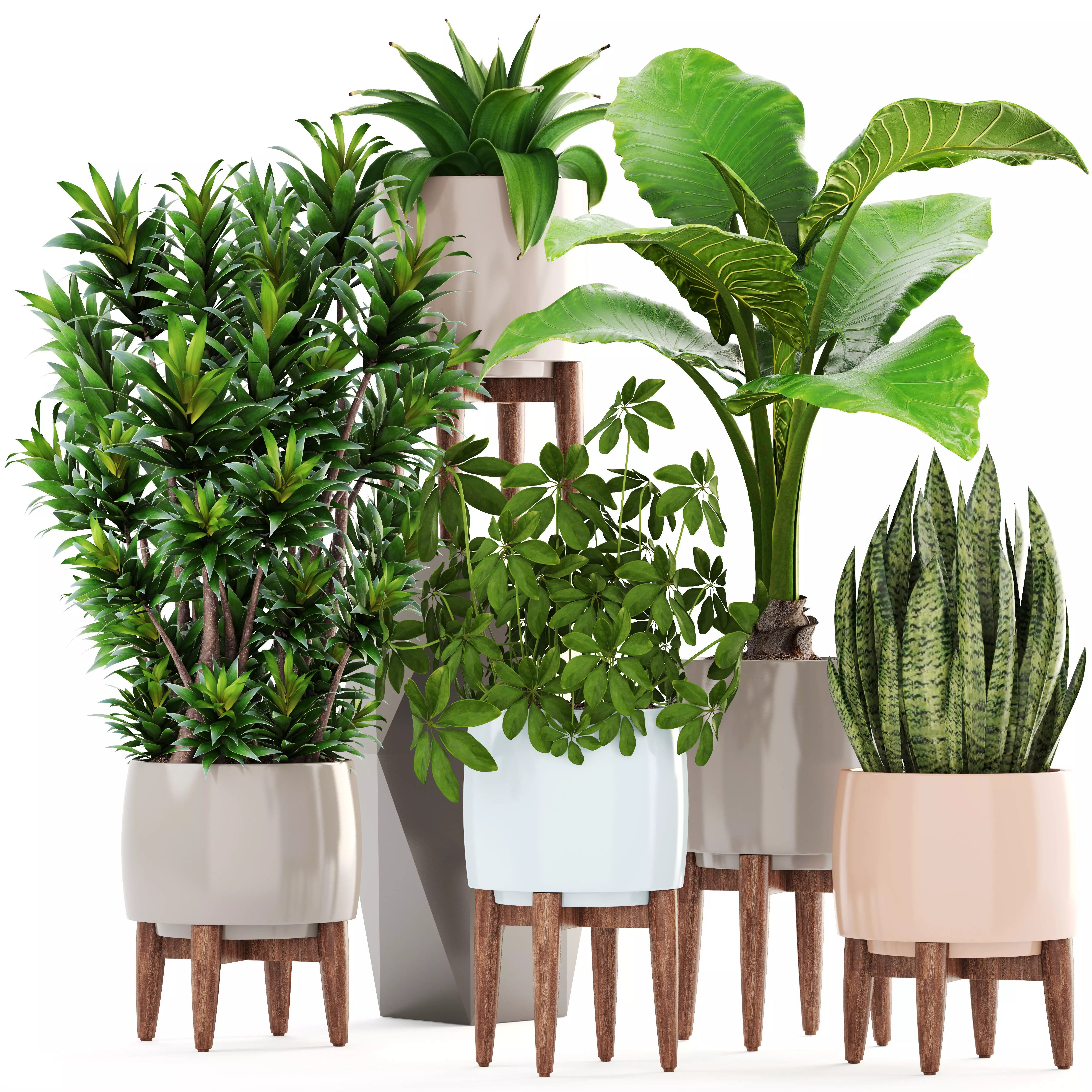 Collection plants potted on wooden legs 3D model_0