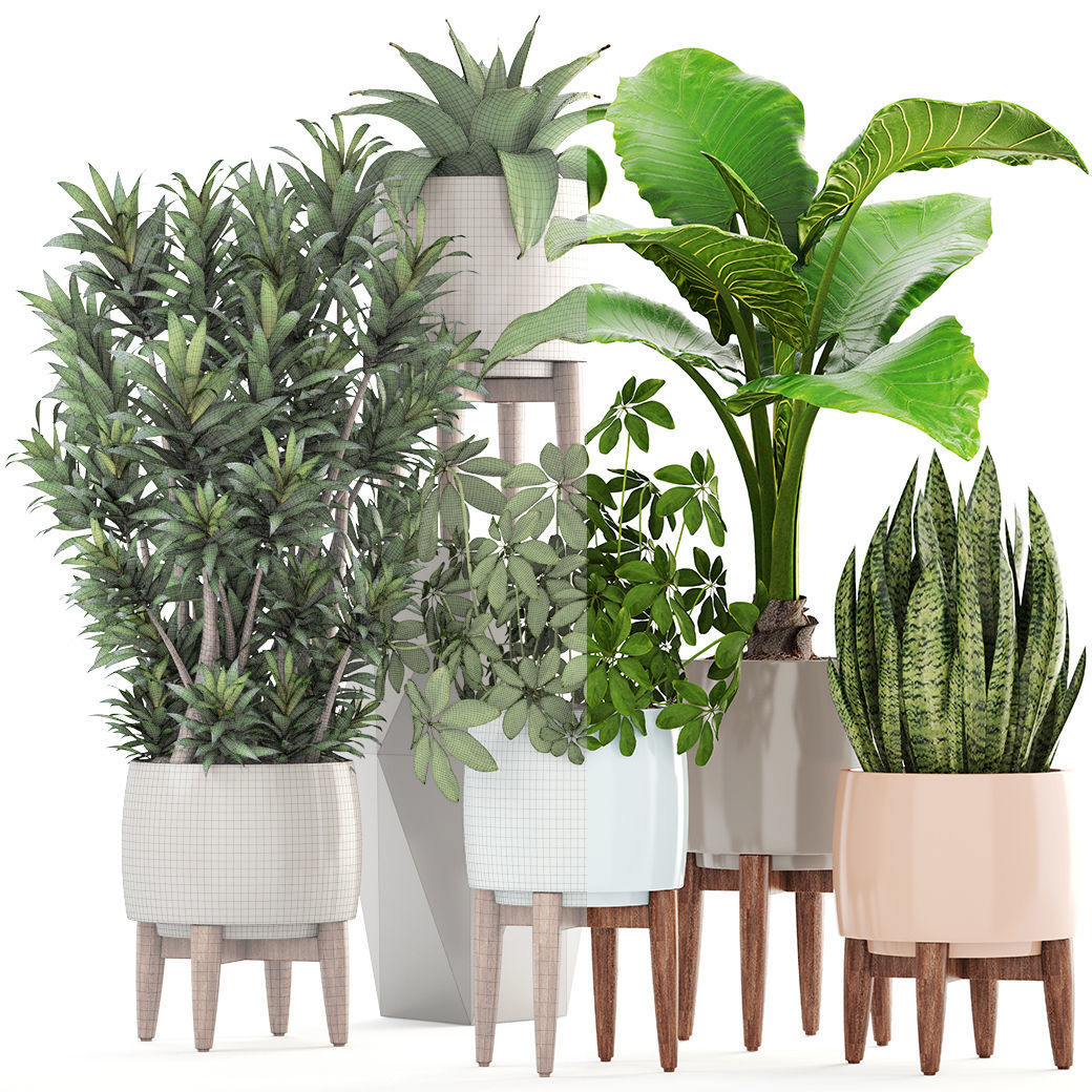 Collection plants potted on wooden legs 3D model_4