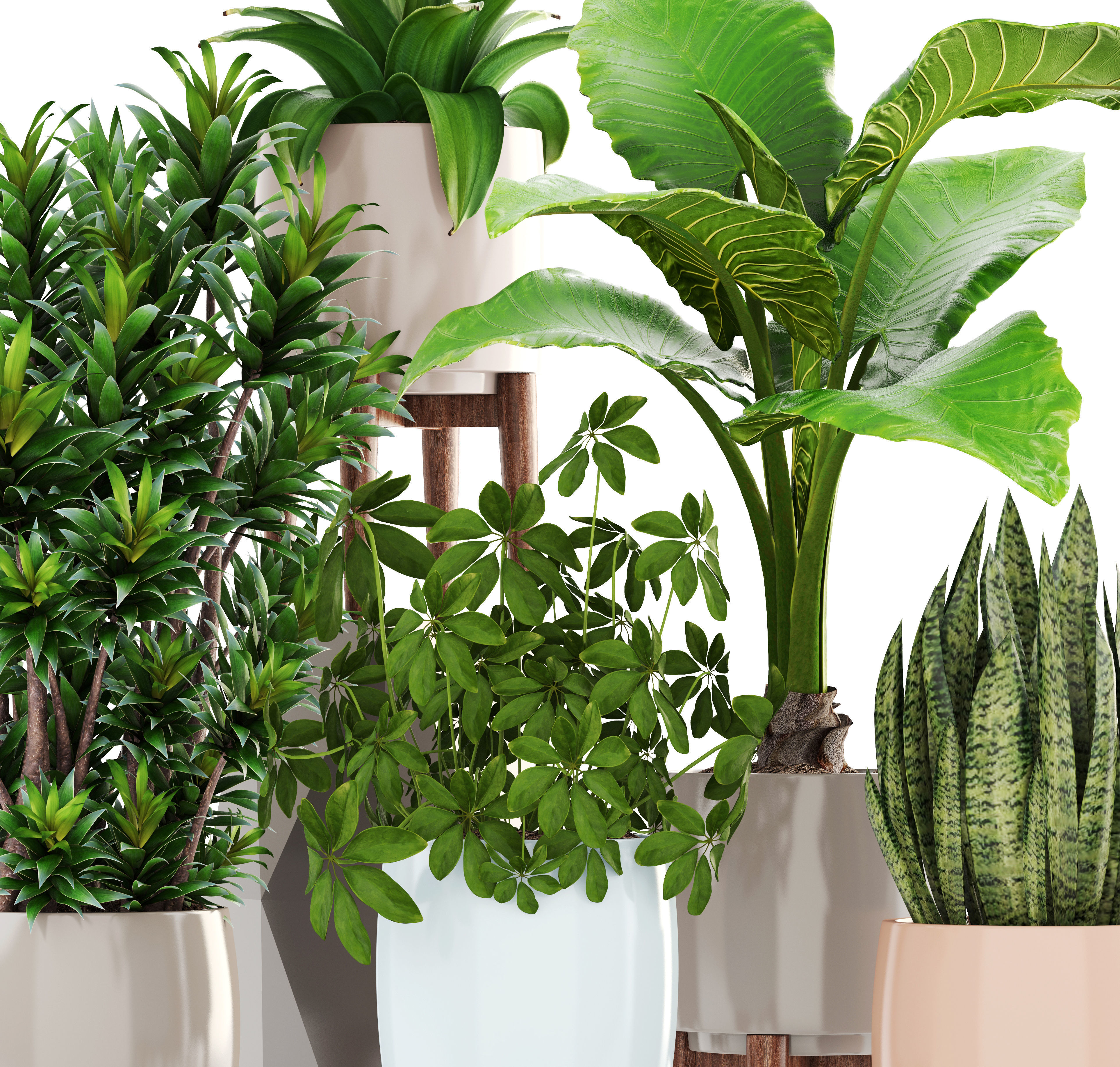 Collection plants potted on wooden legs 3D model_8