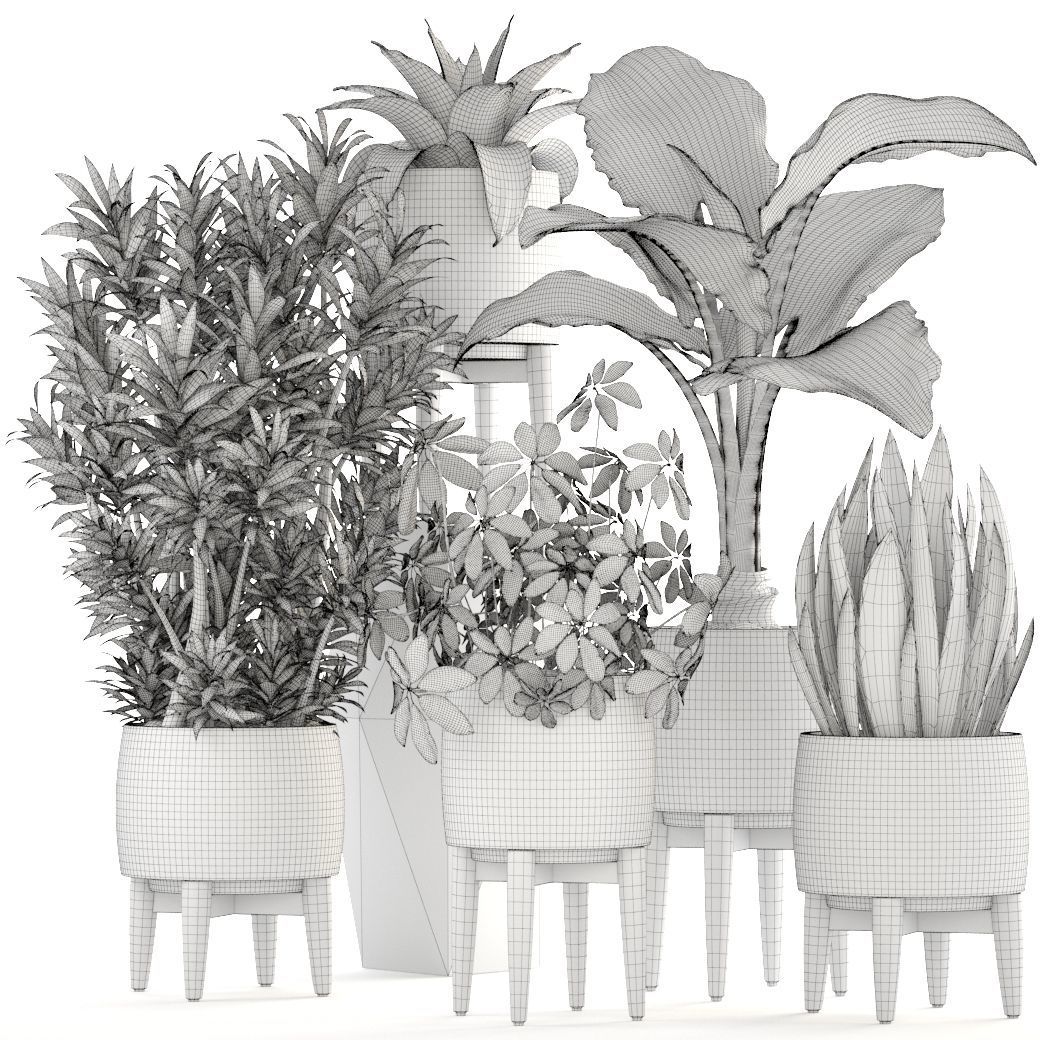 Collection plants potted on wooden legs 3D model_5