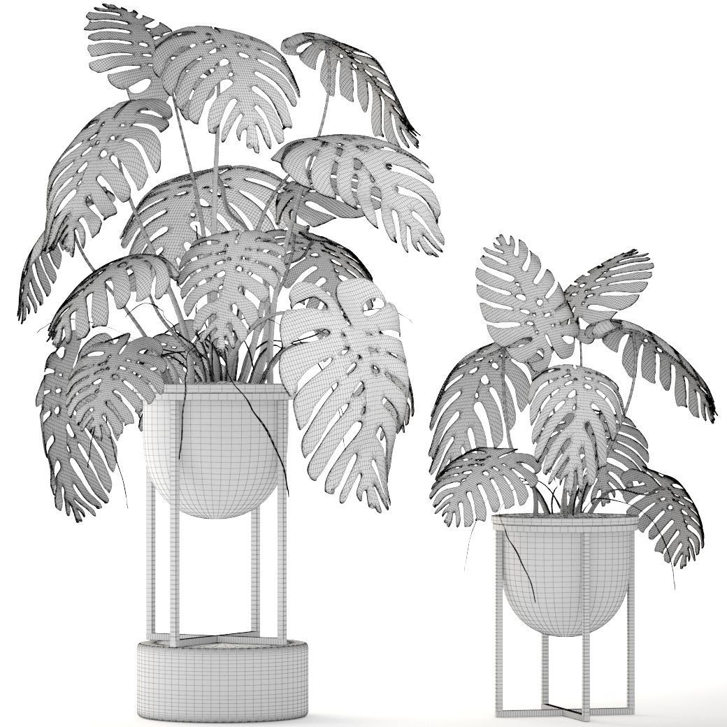 Monstera monster plant in gold stand 3D model_6