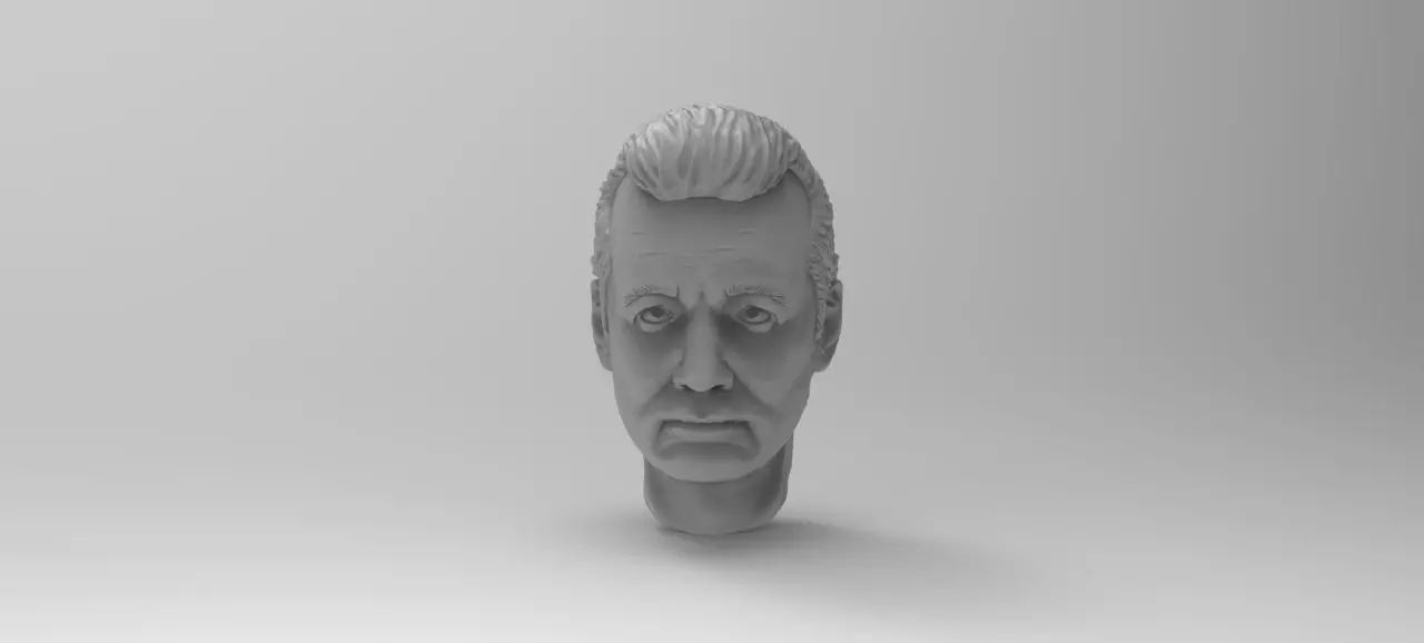 Bill Murray Portrait Free 3D print model_0