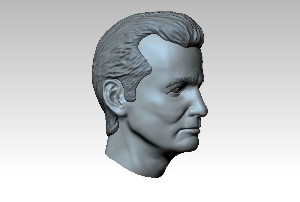Bill Murray Portrait Free 3D print model_3
