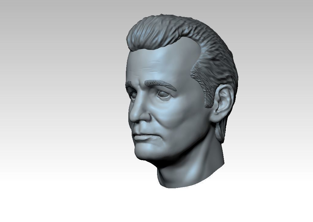 Bill Murray Portrait Free 3D print model_1