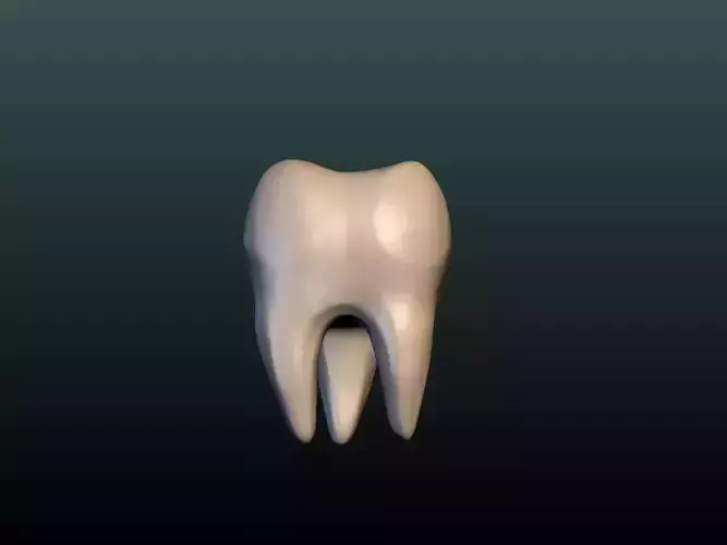 Tooth 3D print model