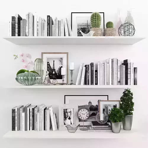 Decorative set-9 bookshelves with plants and cactus