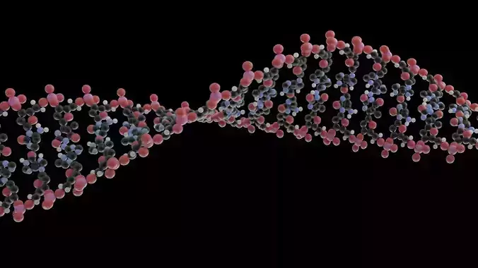 DNA Model -Blender Native- 3D model