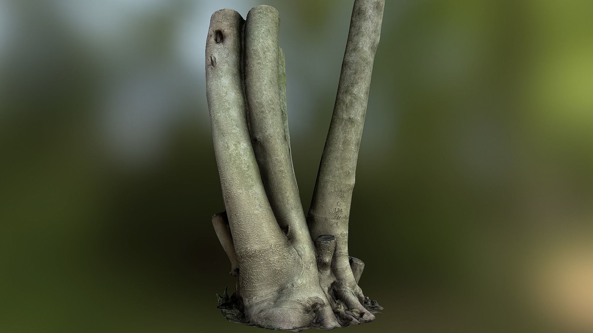 Fig tree environment low poly 3D model Low-poly 3D model_12