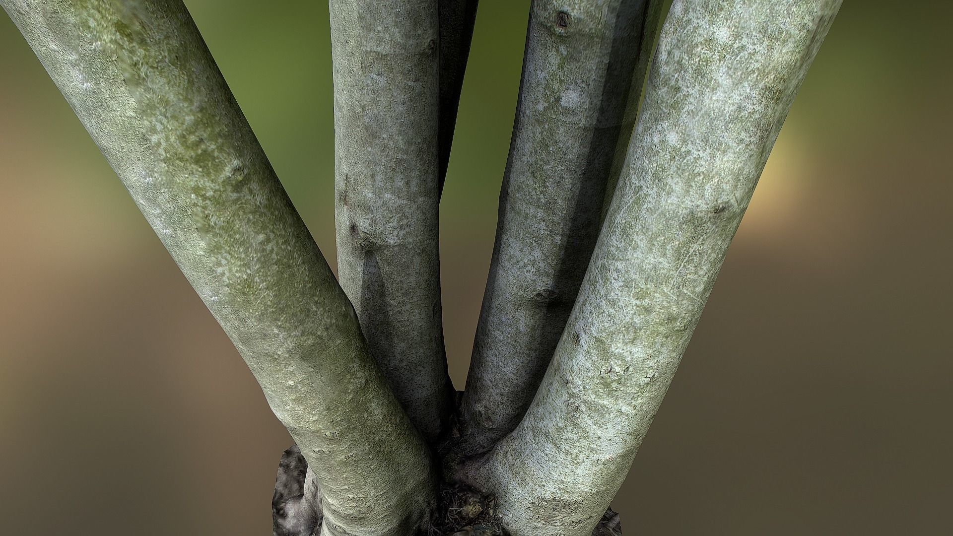 Fig tree environment low poly 3D model Low-poly 3D model_2