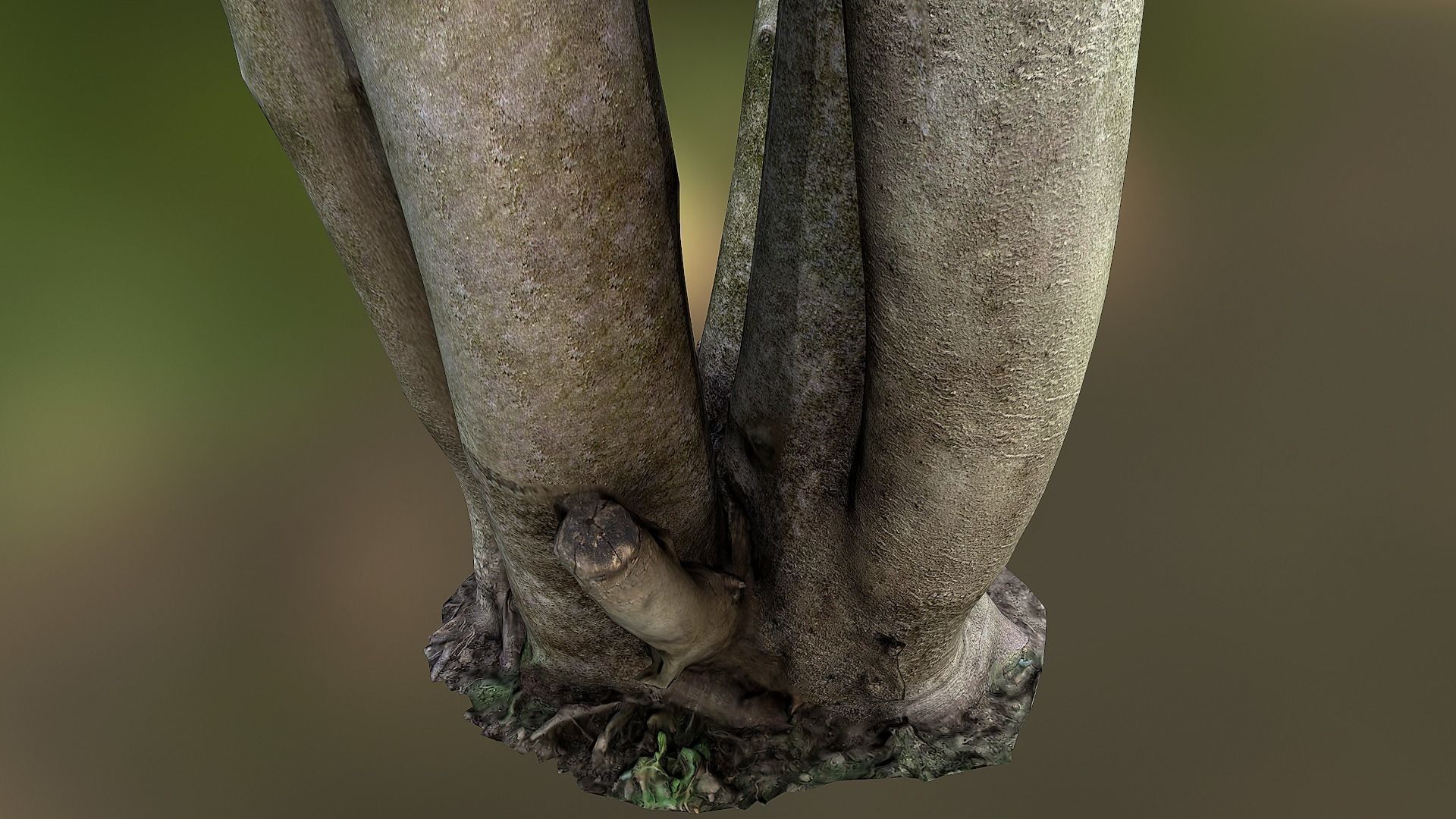 Fig tree environment low poly 3D model Low-poly 3D model_4