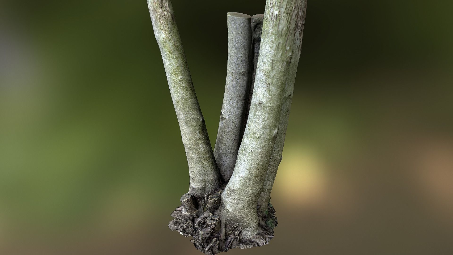 Fig tree environment low poly 3D model Low-poly 3D model_8
