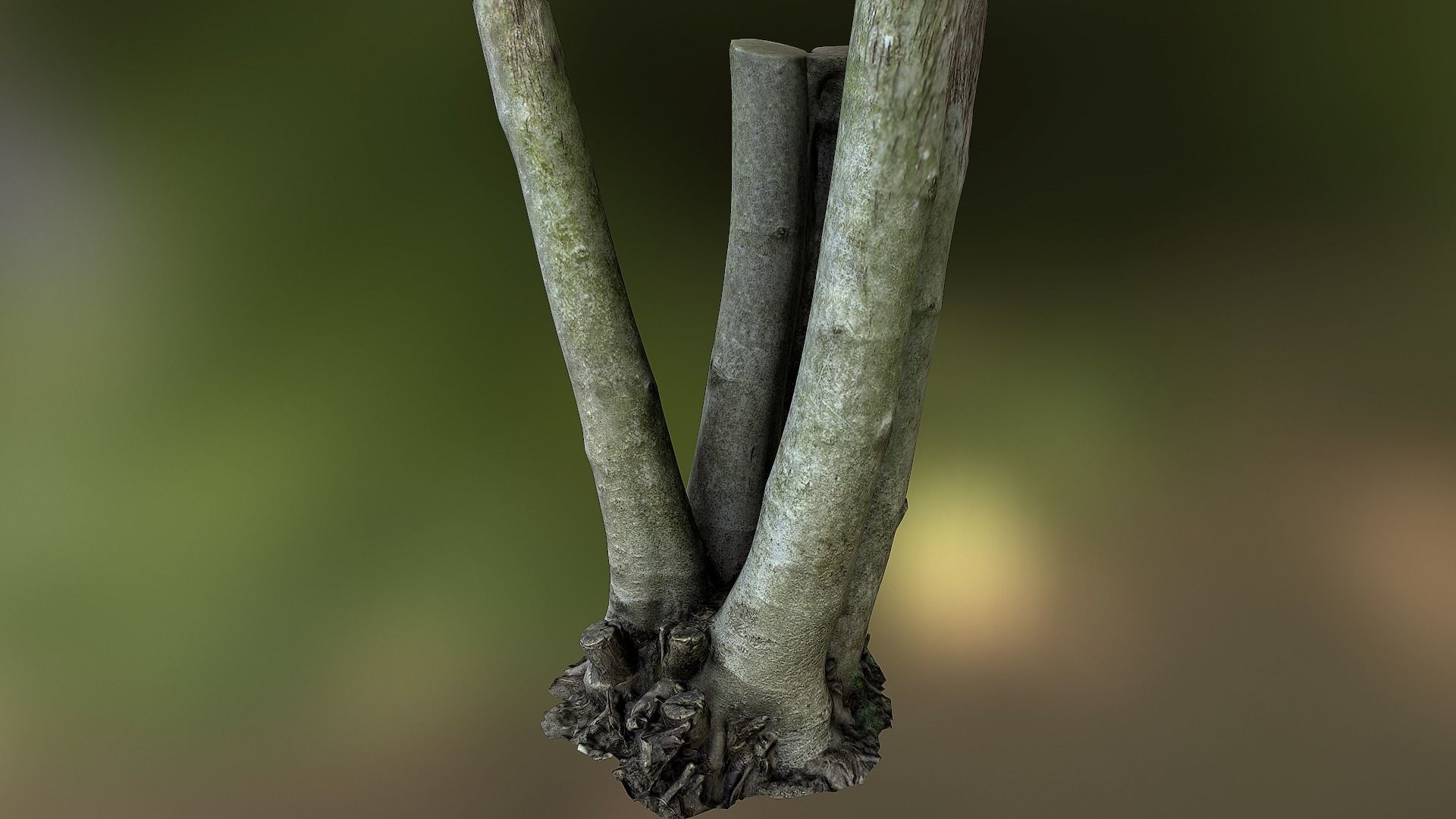 Fig tree environment low poly 3D model Low-poly 3D model_11