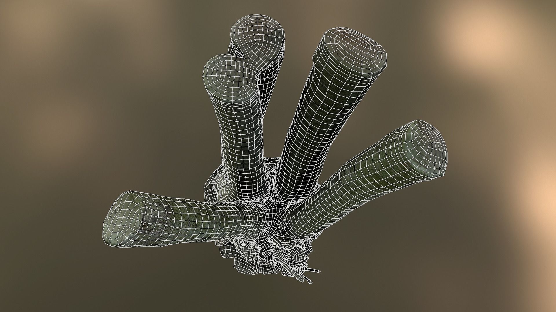 Fig tree environment low poly 3D model Low-poly 3D model_27