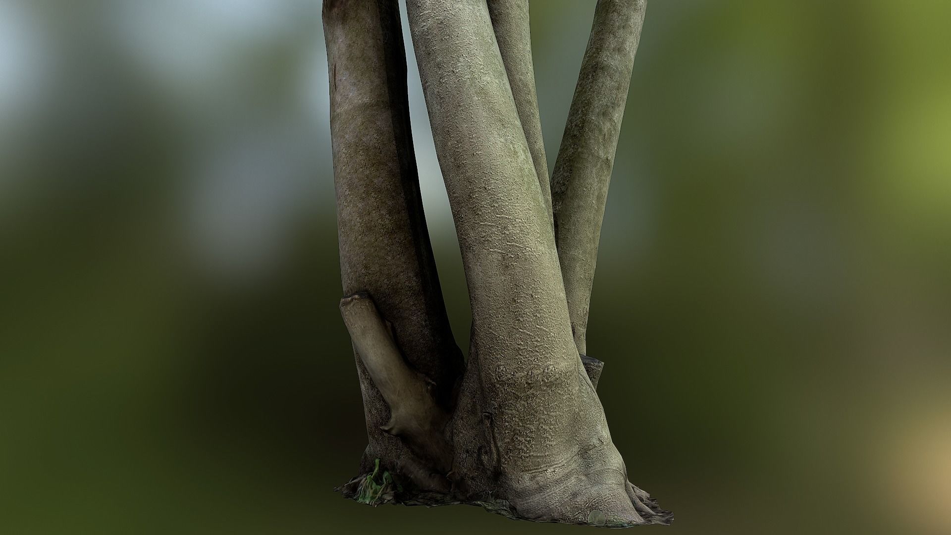 Fig tree environment low poly 3D model Low-poly 3D model_15
