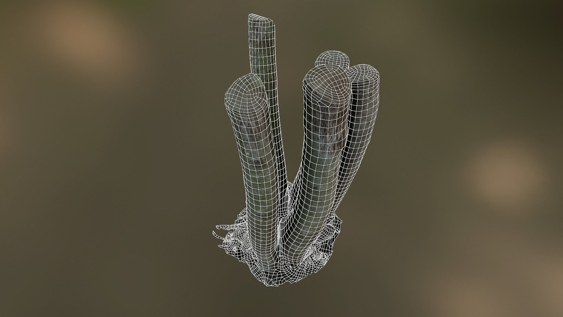 Fig tree environment low poly 3D model Low-poly 3D model_23