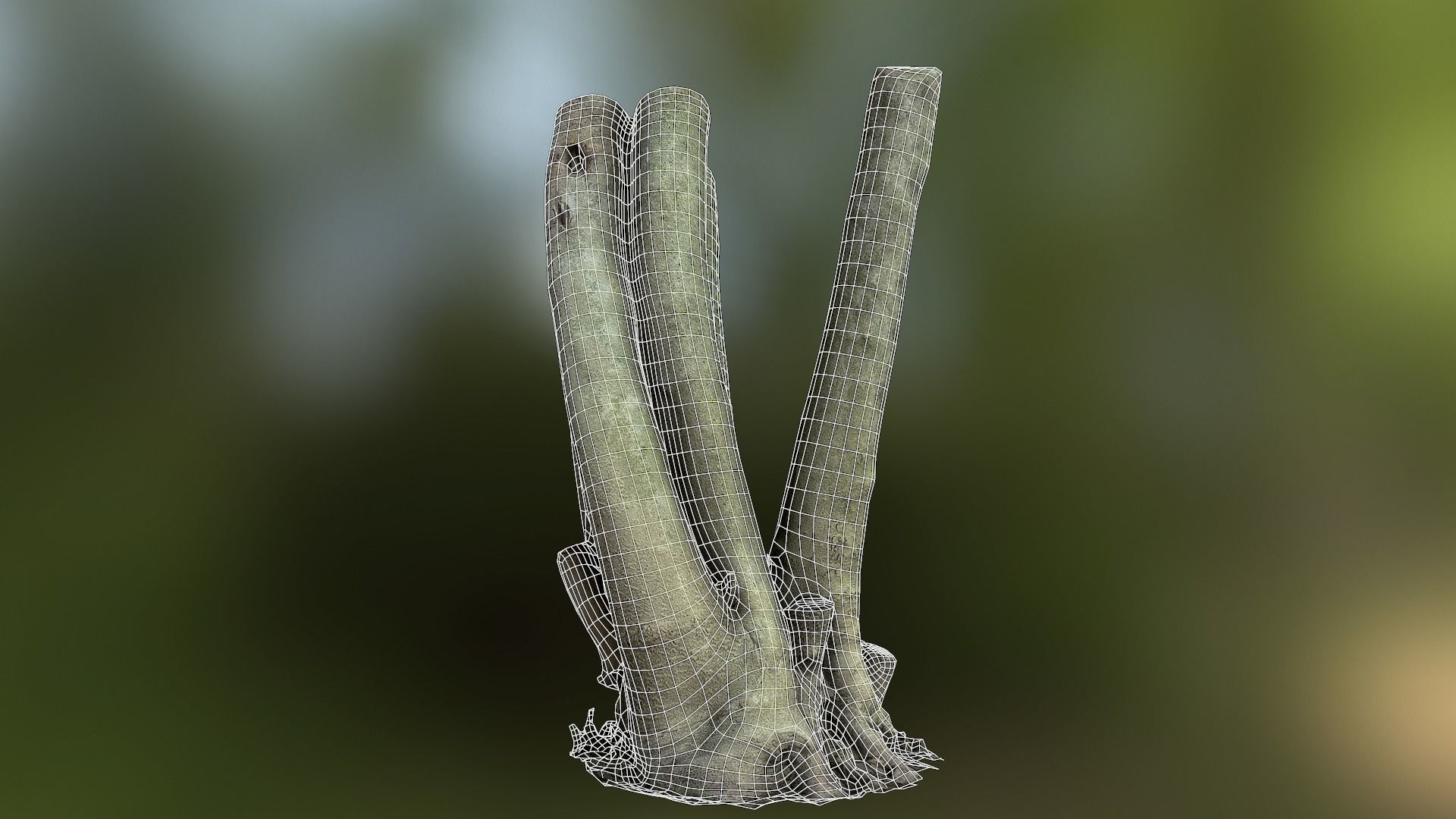 Fig tree environment low poly 3D model Low-poly 3D model_22