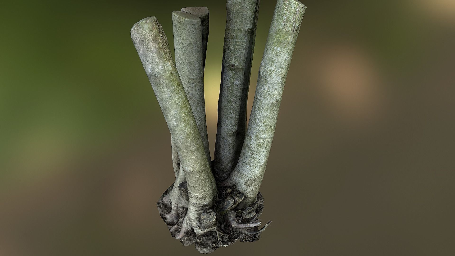 Fig tree environment low poly 3D model Low-poly 3D model_13