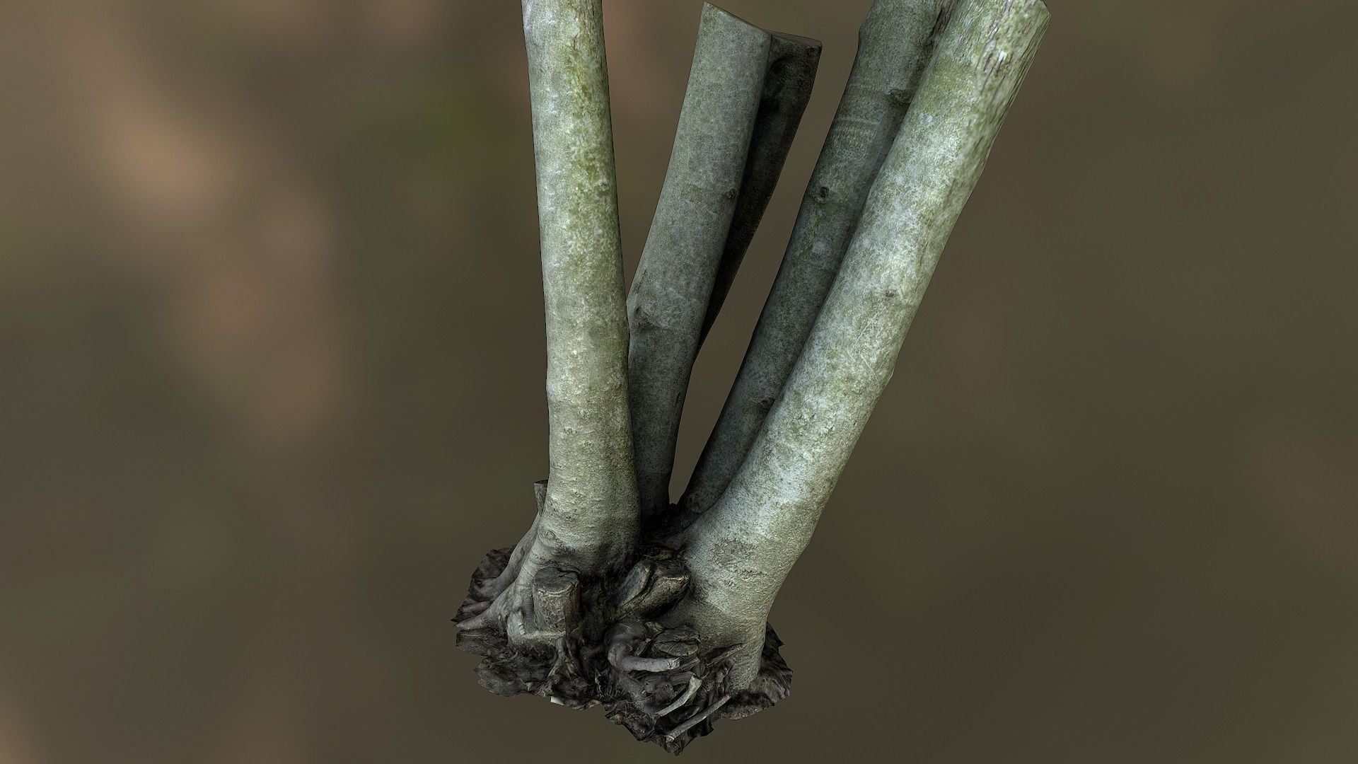 Fig tree environment low poly 3D model Low-poly 3D model_3