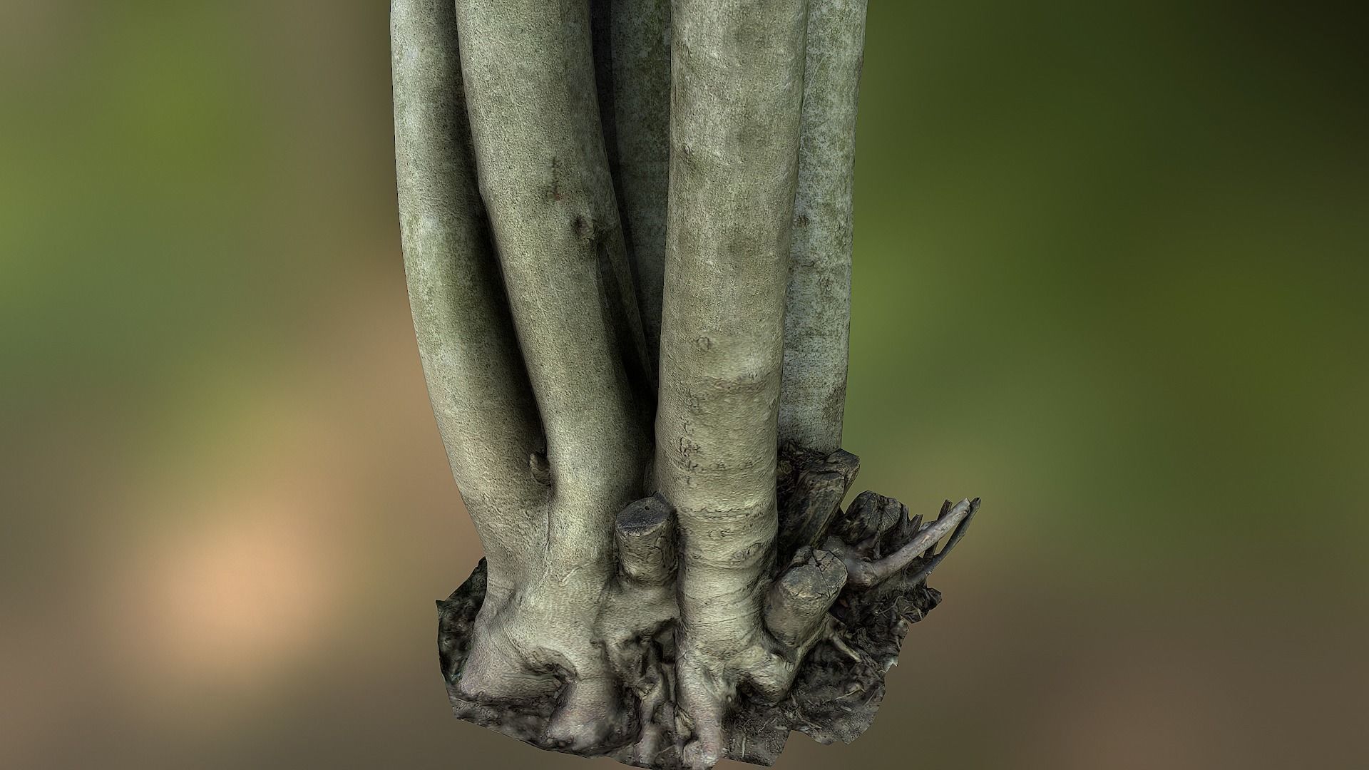 Fig tree environment low poly 3D model Low-poly 3D model_14