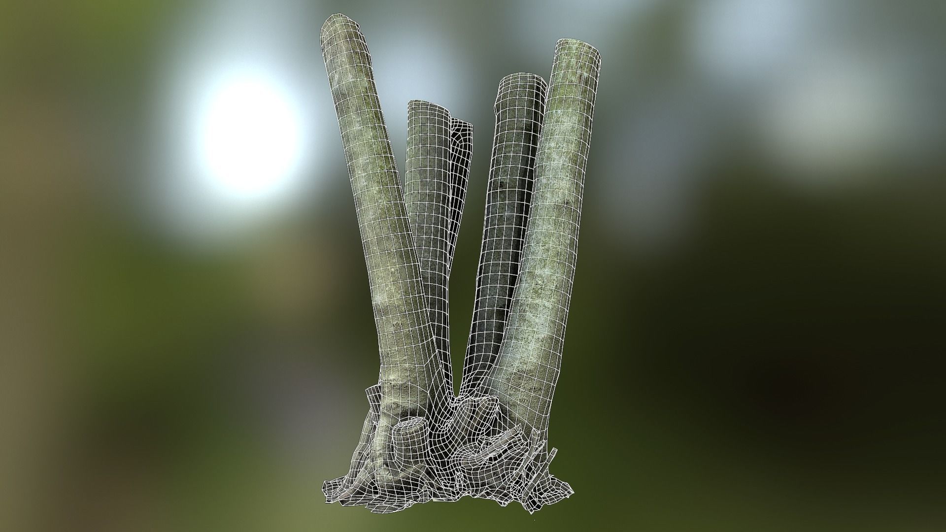 Fig tree environment low poly 3D model Low-poly 3D model_21