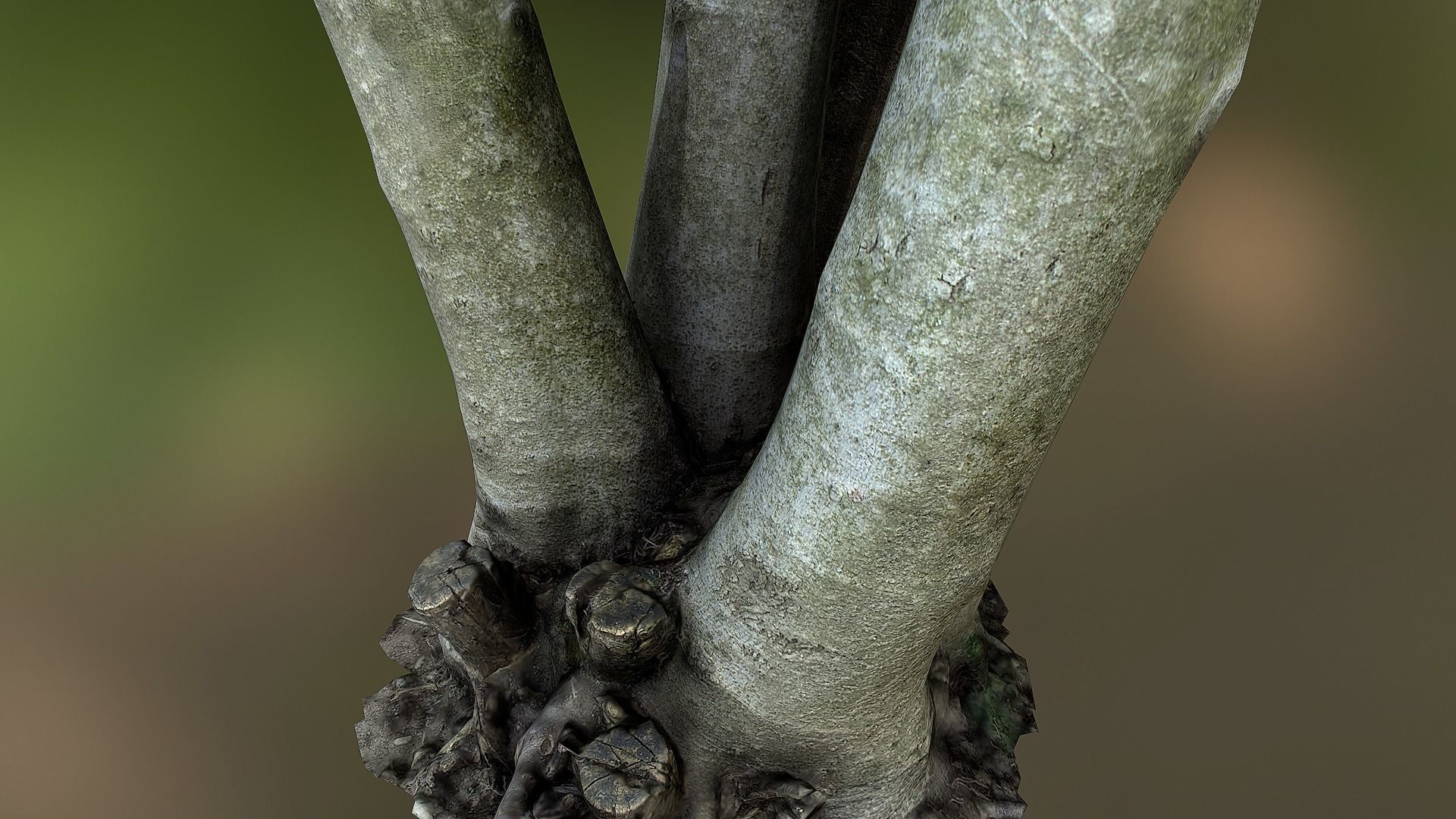 Fig tree environment low poly 3D model Low-poly 3D model_6