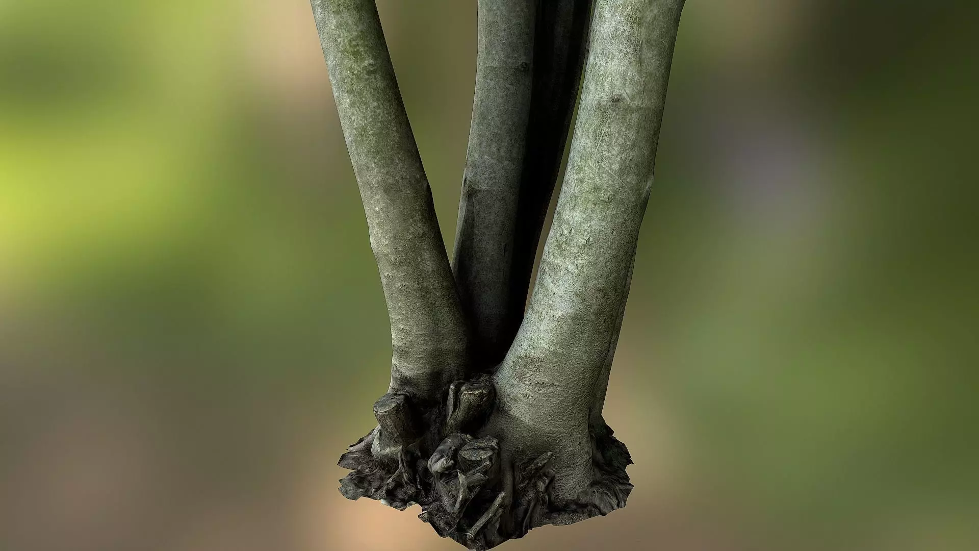 Fig tree environment low poly 3D model Low-poly 3D model_0