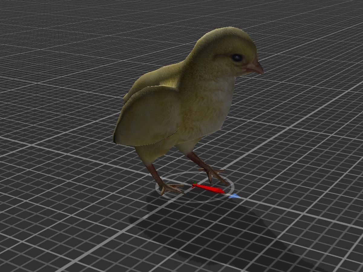 Chick  Low-poly 3D model_4