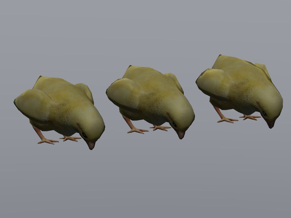 Chick  Low-poly 3D model_2