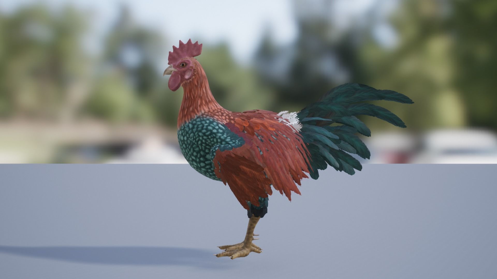 Rooster  Low-poly 3D model_2
