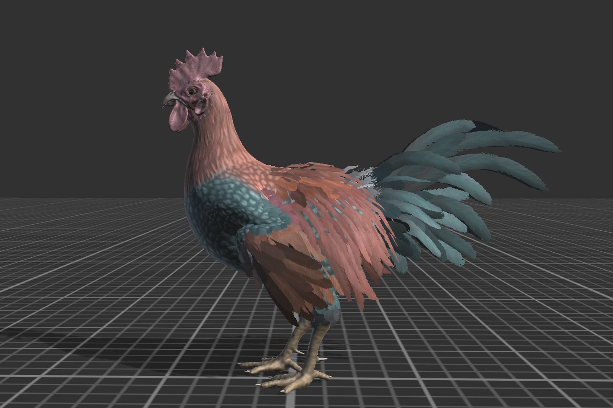 Rooster  Low-poly 3D model_8