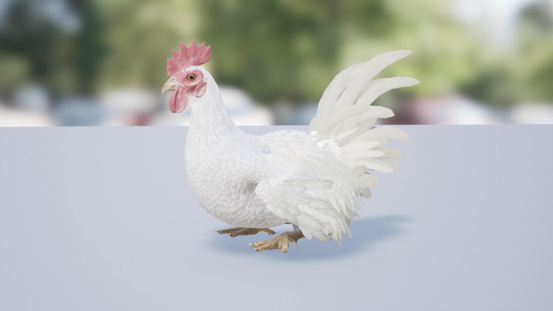 Rooster  Low-poly 3D model_7