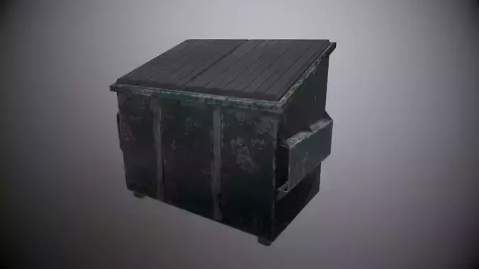 Garbage Collection with Trash Container