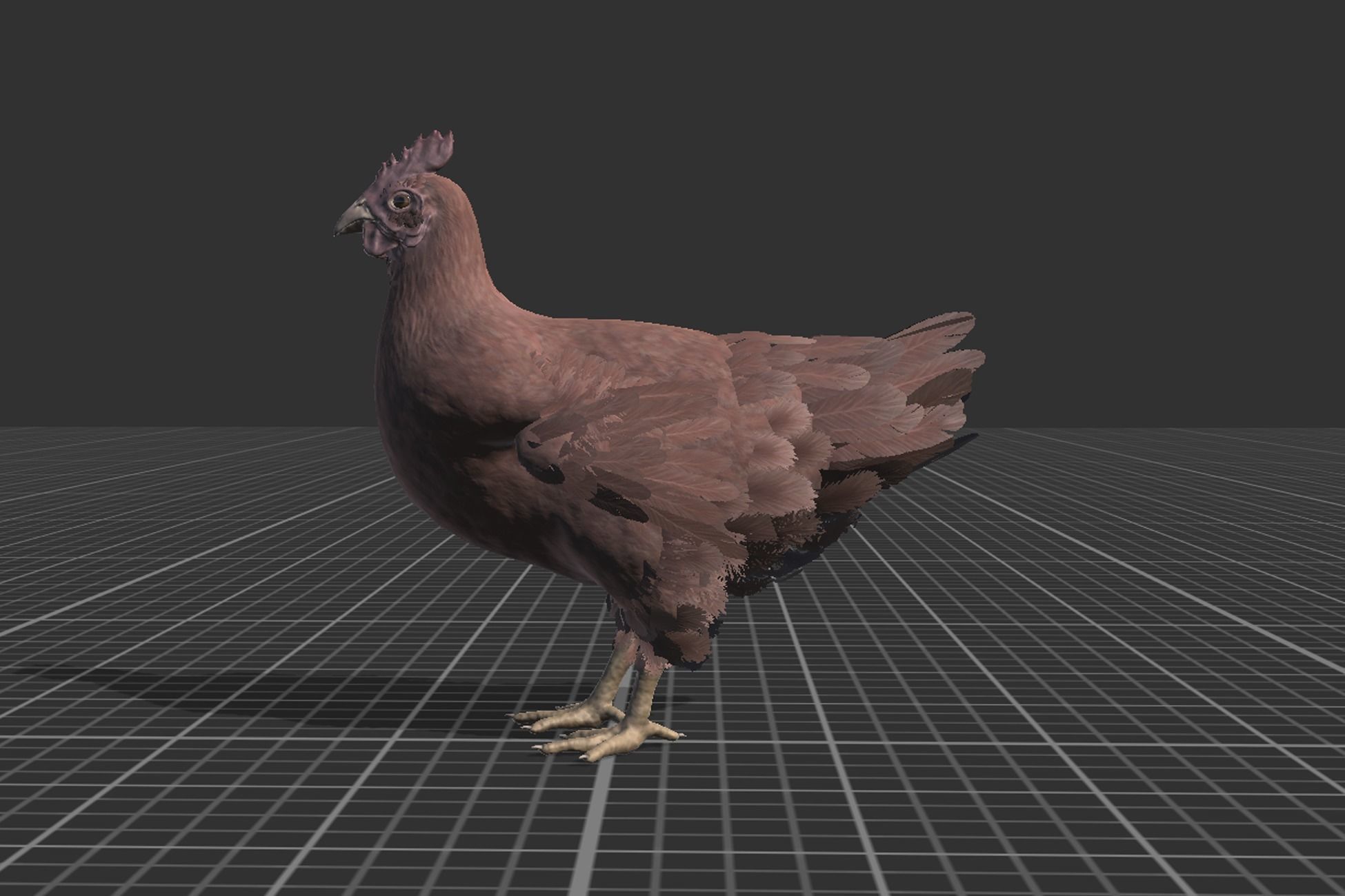 Pack of chickens Low-poly 3D model_5
