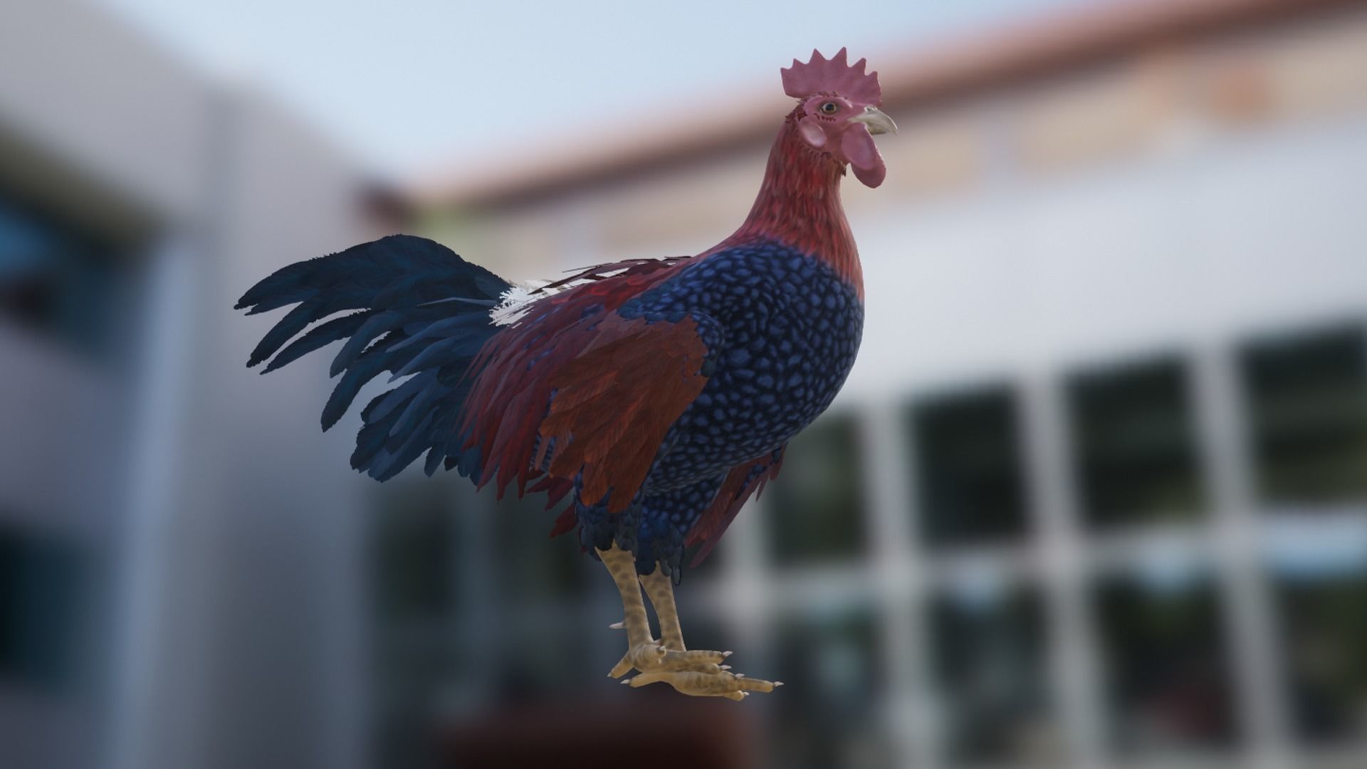 Pack of chickens Low-poly 3D model_32