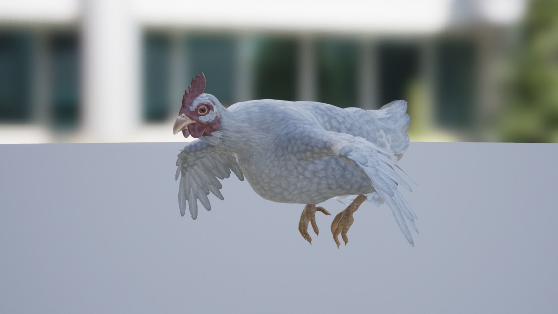 Pack of chickens Low-poly 3D model_41