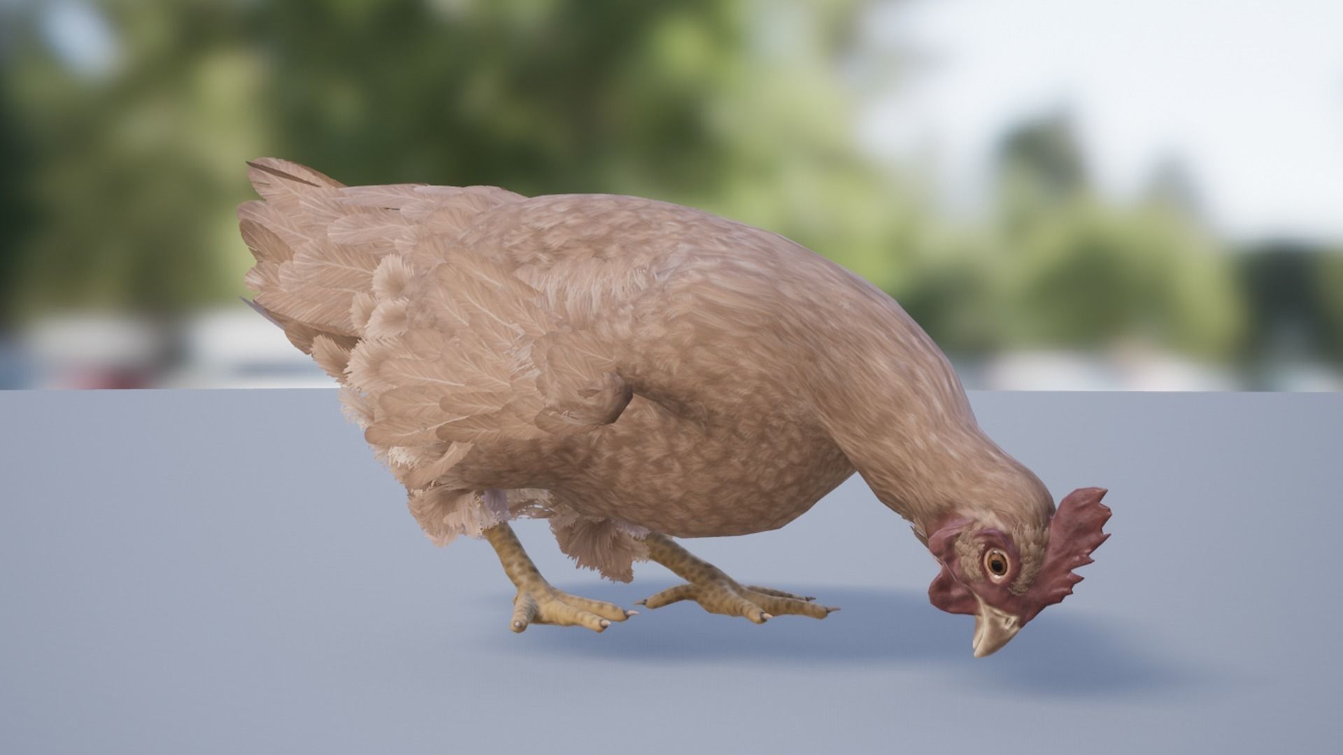Pack of chickens Low-poly 3D model_36