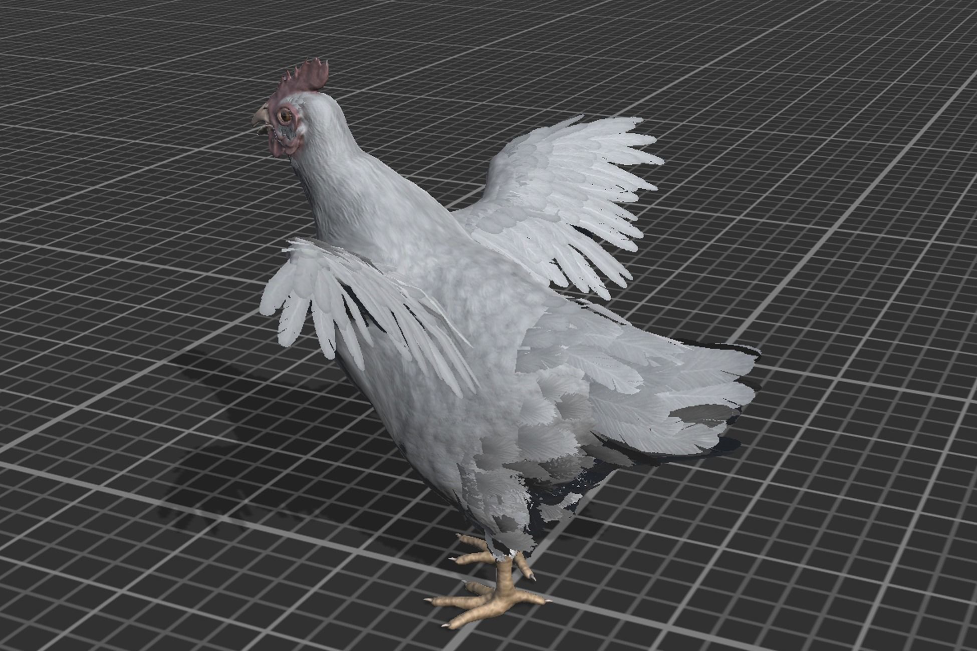 Pack of chickens Low-poly 3D model_22
