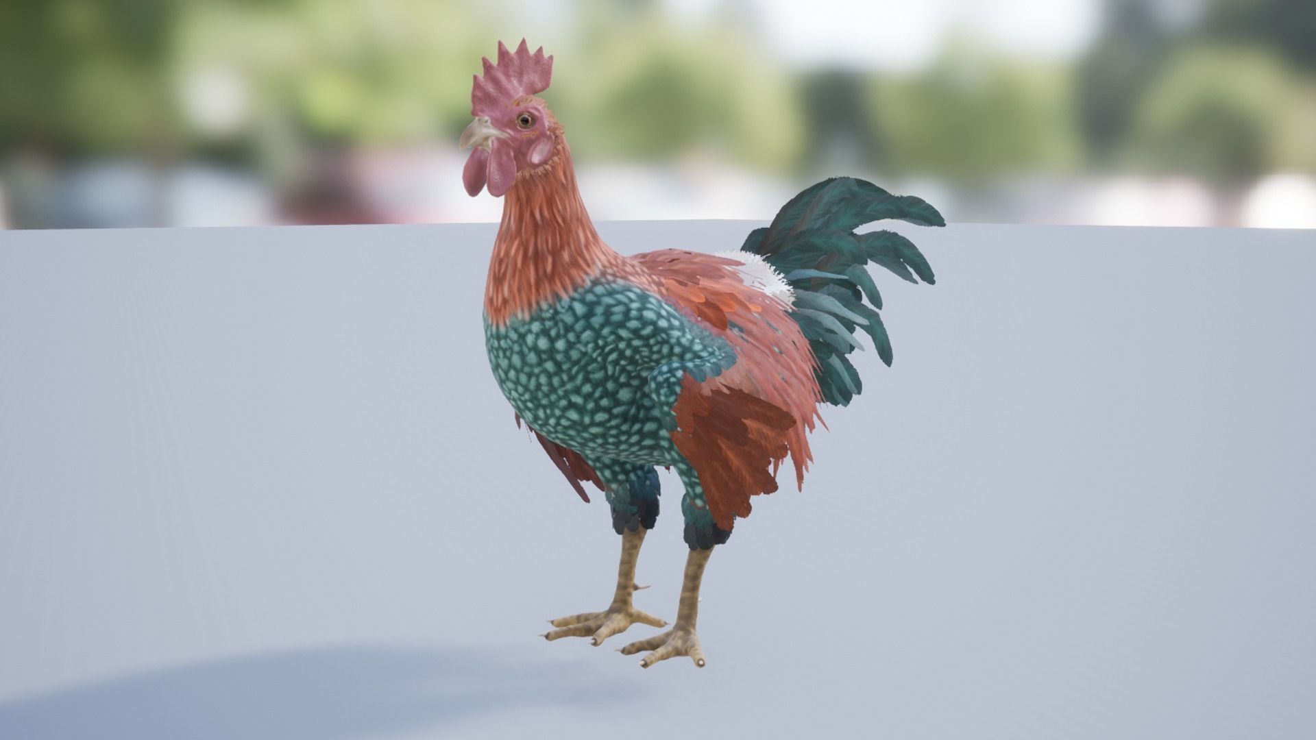 Pack of chickens Low-poly 3D model_26
