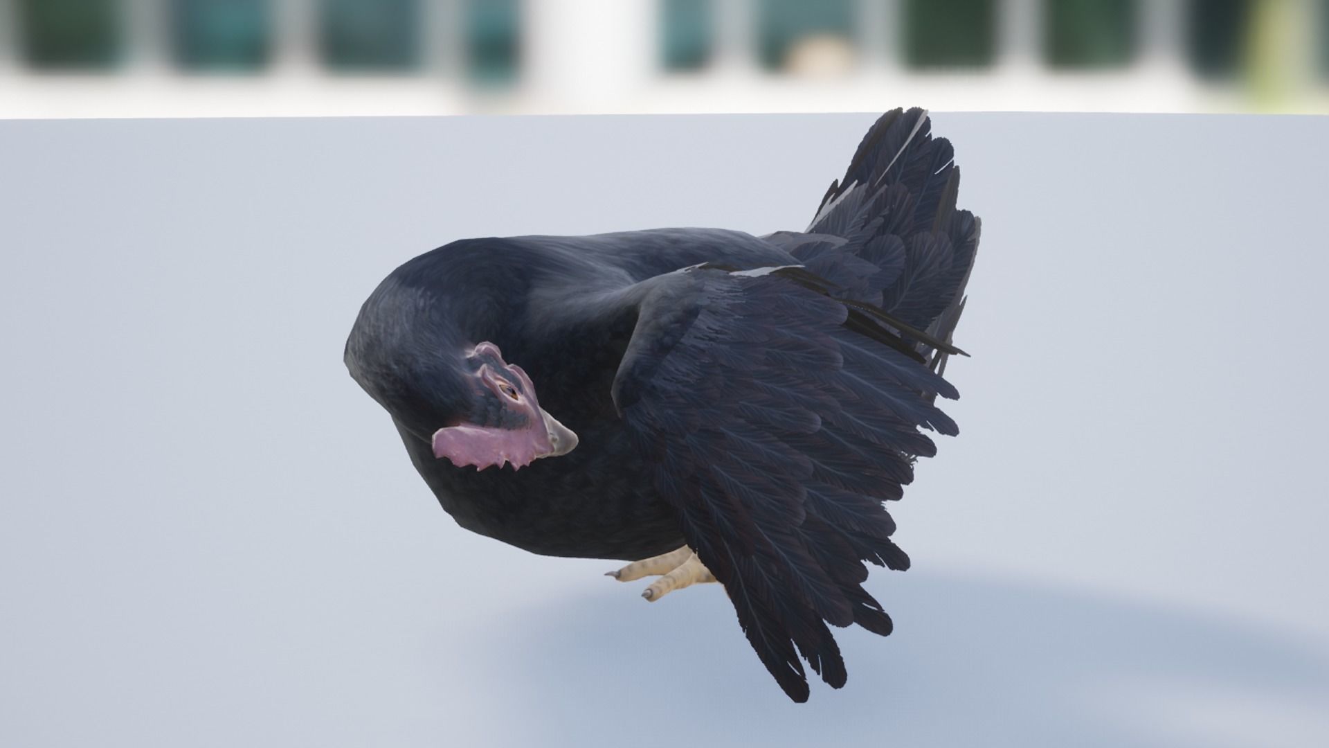 Pack of chickens Low-poly 3D model_39