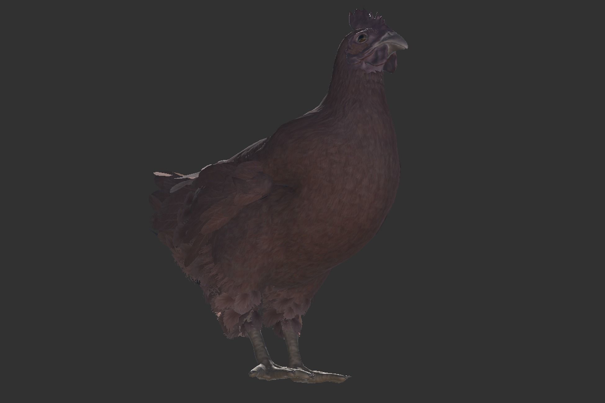 Pack of chickens Low-poly 3D model_14