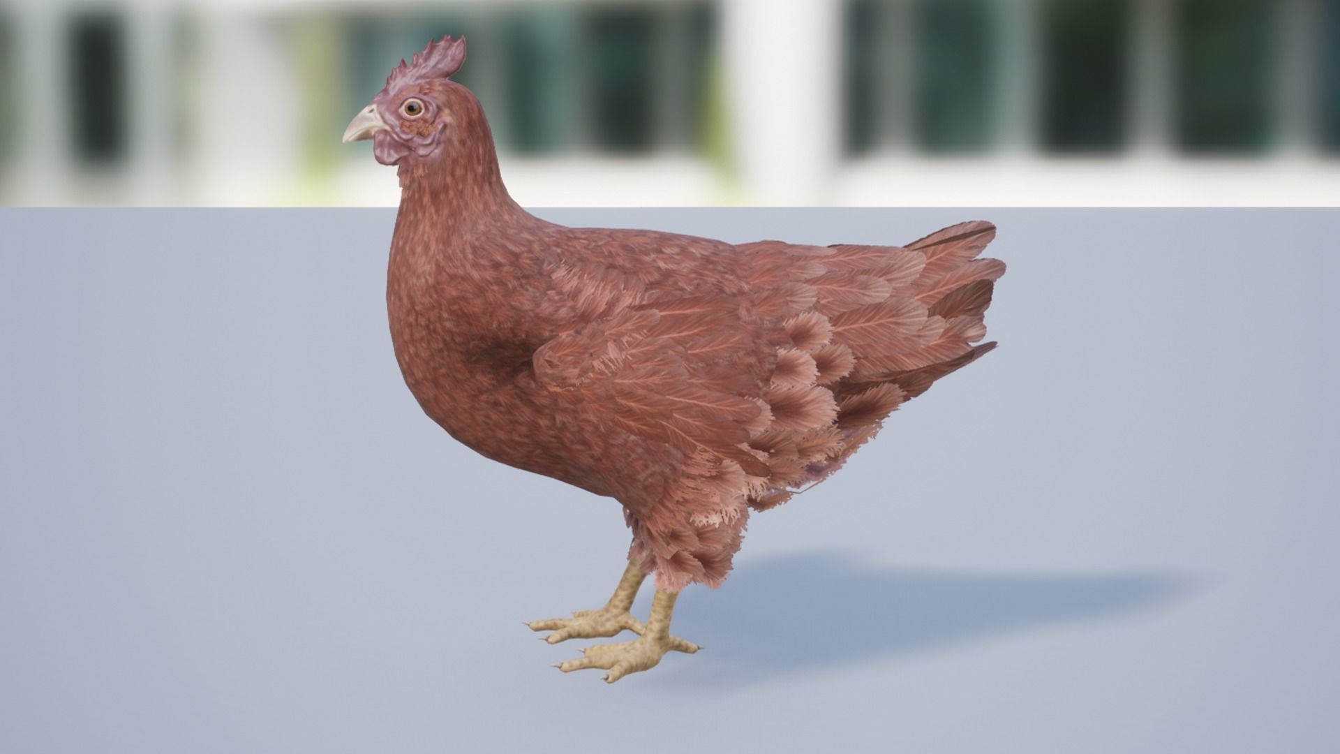 Pack of chickens Low-poly 3D model_24