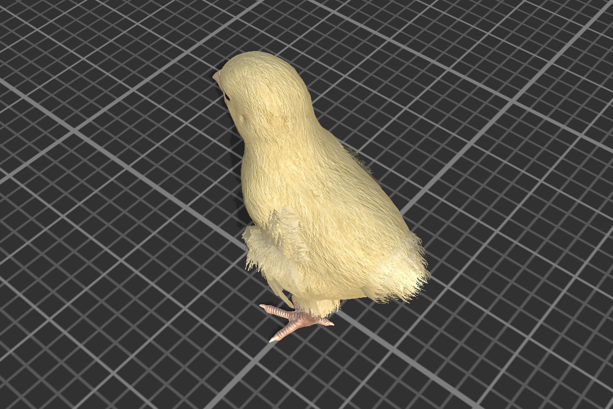 Pack of chickens Low-poly 3D model_12