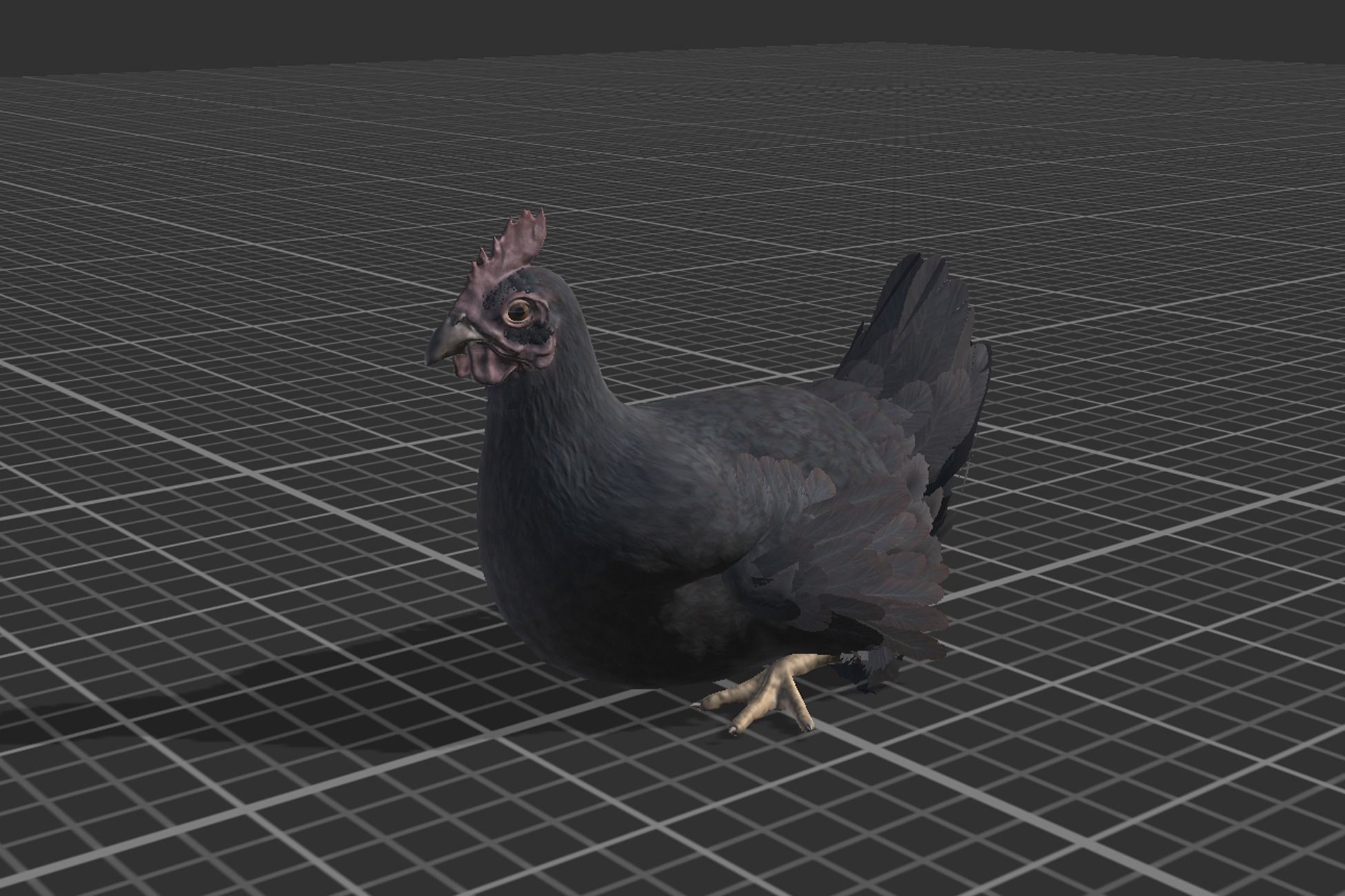 Pack of chickens Low-poly 3D model_20