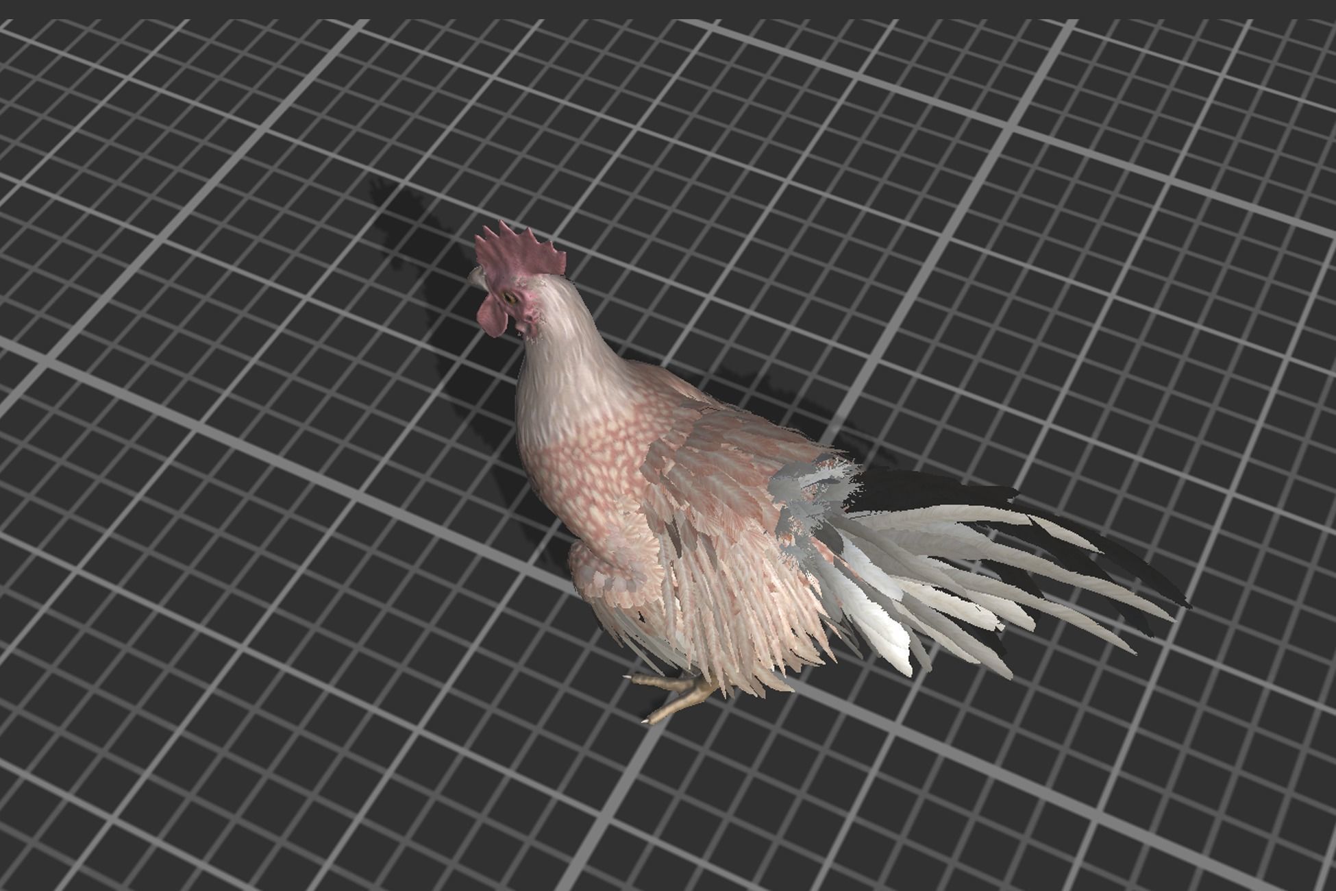 Pack of chickens Low-poly 3D model_10