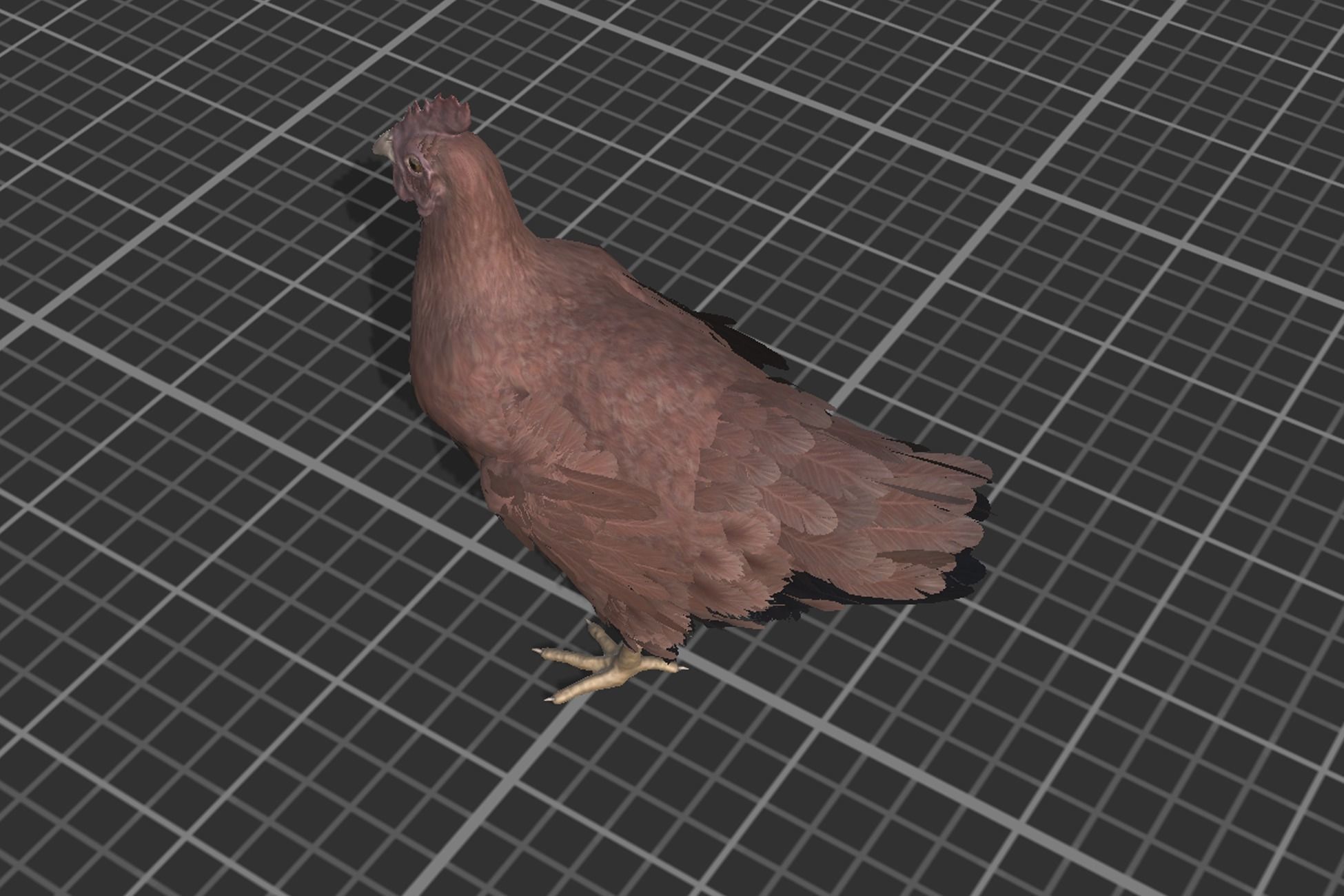 Pack of chickens Low-poly 3D model_11