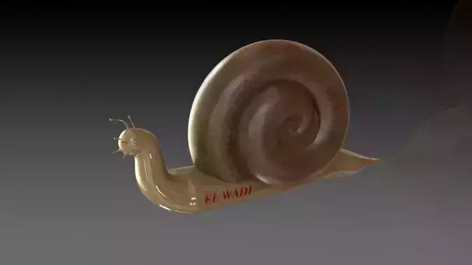 spiral snail