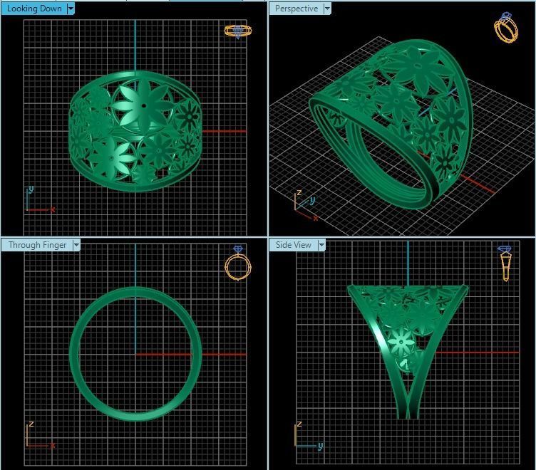 Ring T01224 3D print model_2