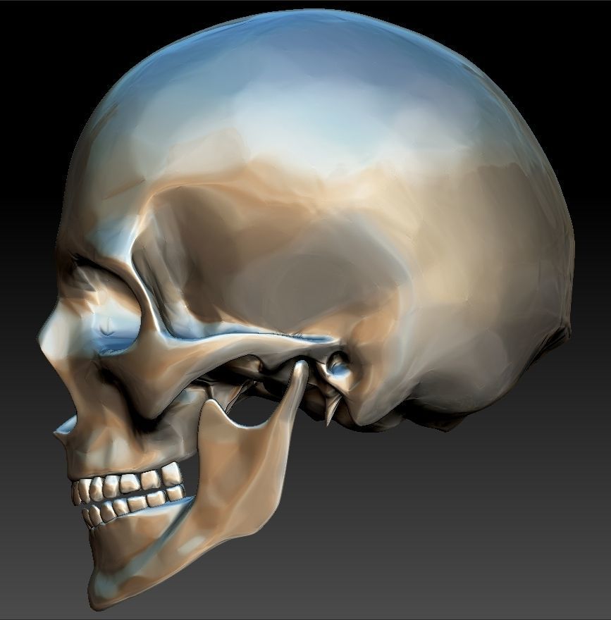 Skull made of metal 3D model 3D printable | CGTrader